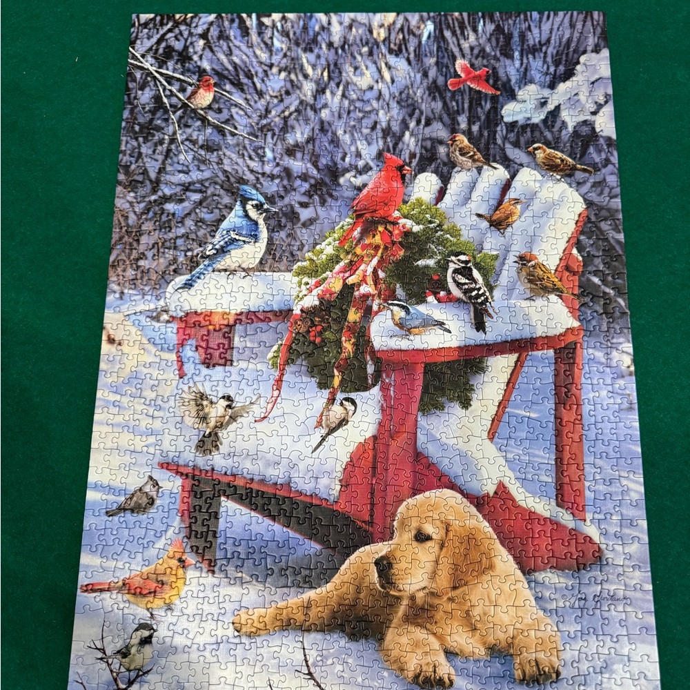 Winter Scene Puzzle with Birds and Dog